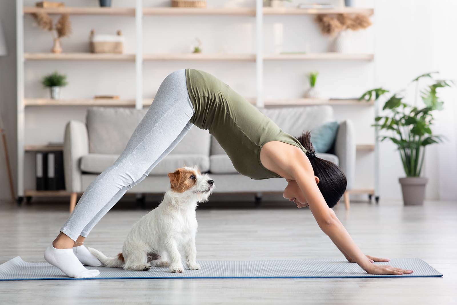 Frau macht mit Hund Yoga | Credit: iStock.com/Prostock-Studio