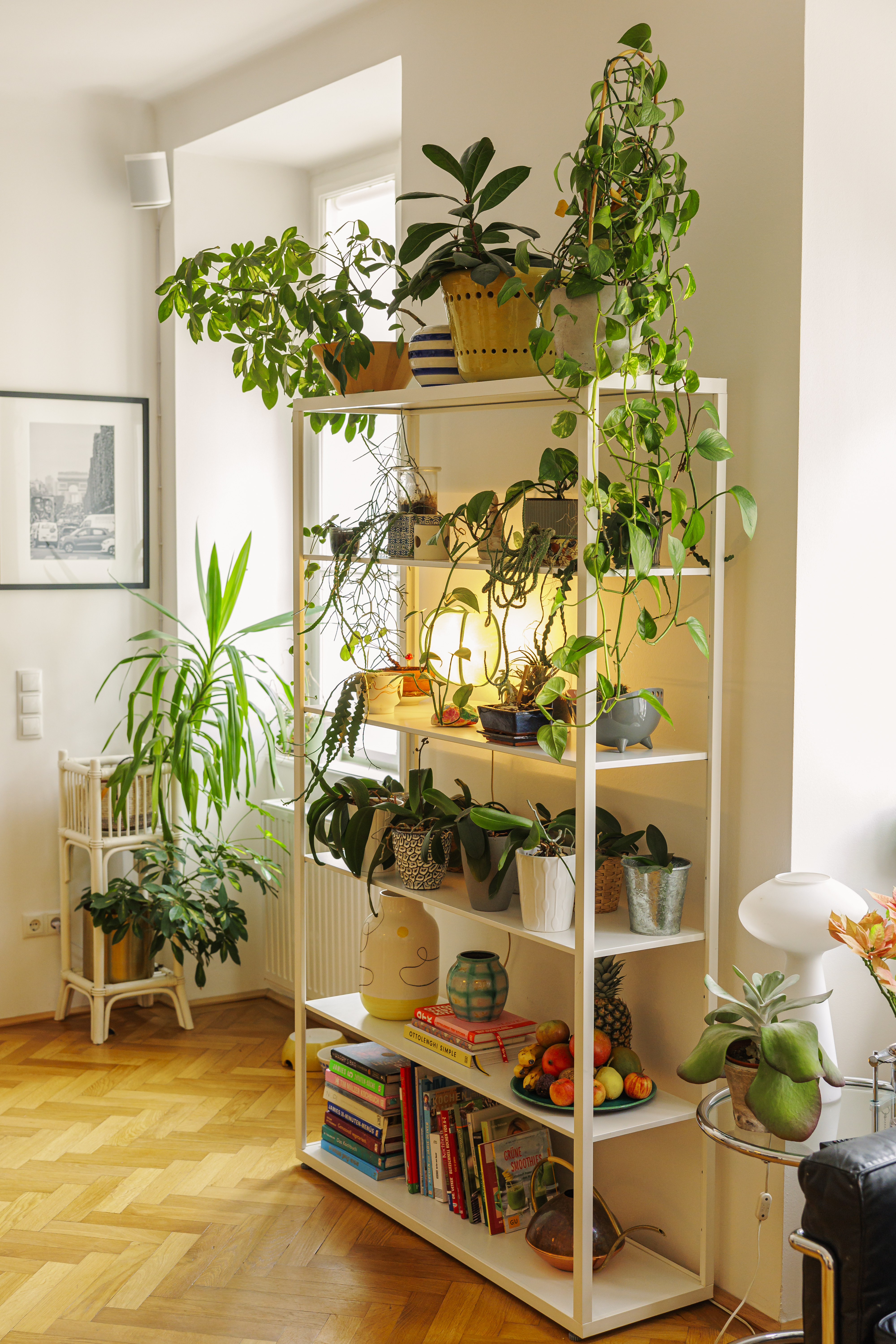 Regal im Wohn-Esszimmer