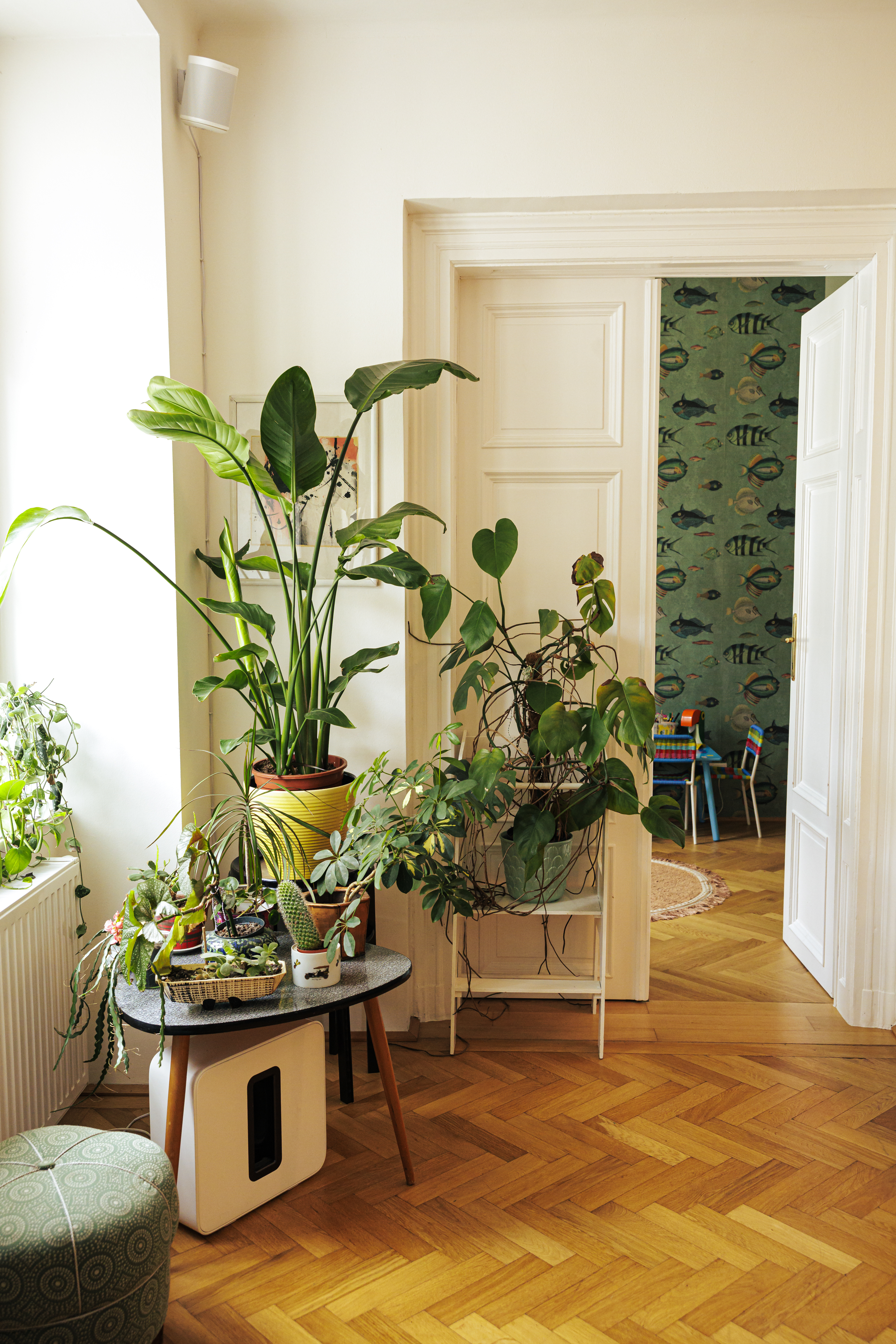 Pflanzenecke im Wohzimmer