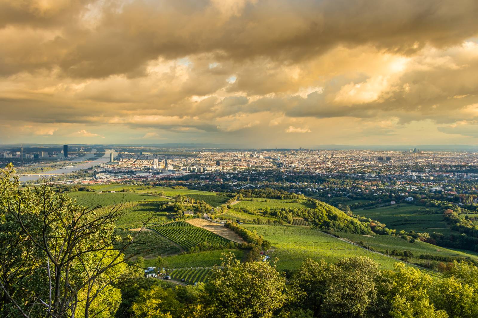 Der Kahlenberg bei Sonnenuntergang | Credit: iStock.com/Privizer