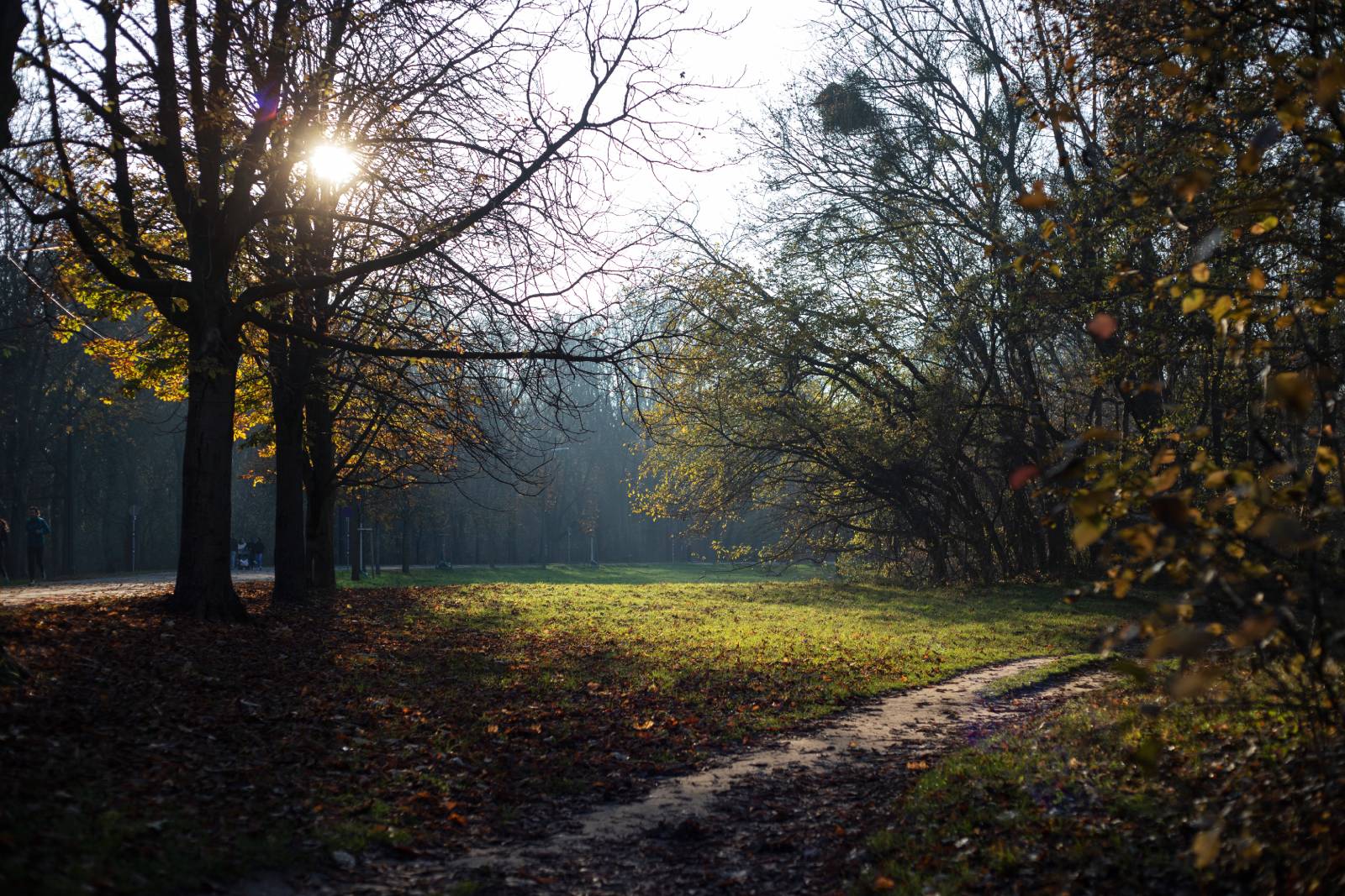 Der Wiener Prater bei Sonnenuntergang im Herbst | Credit: ALEX HALADA / picturedesk.com