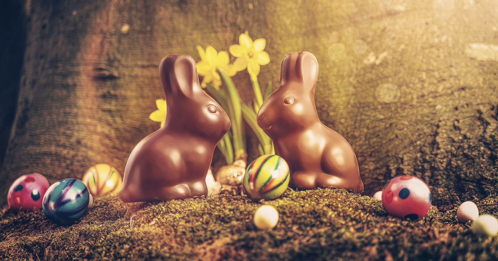 Osterhase aus Schokolade vor einem Baum mit Eiern