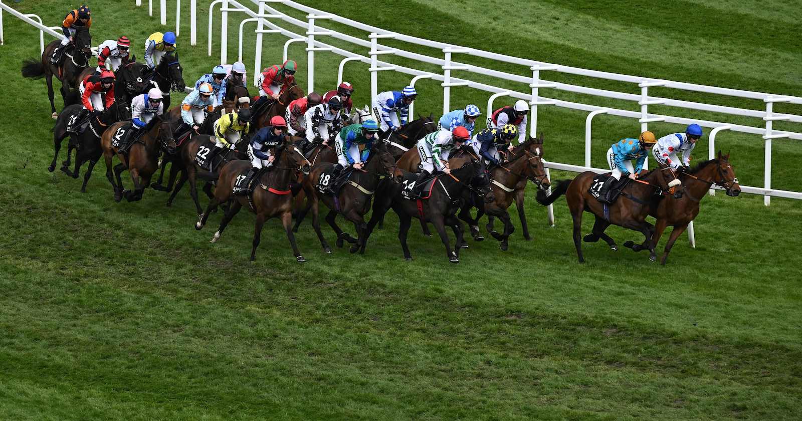 Viele Pferde beim Rennen in England.