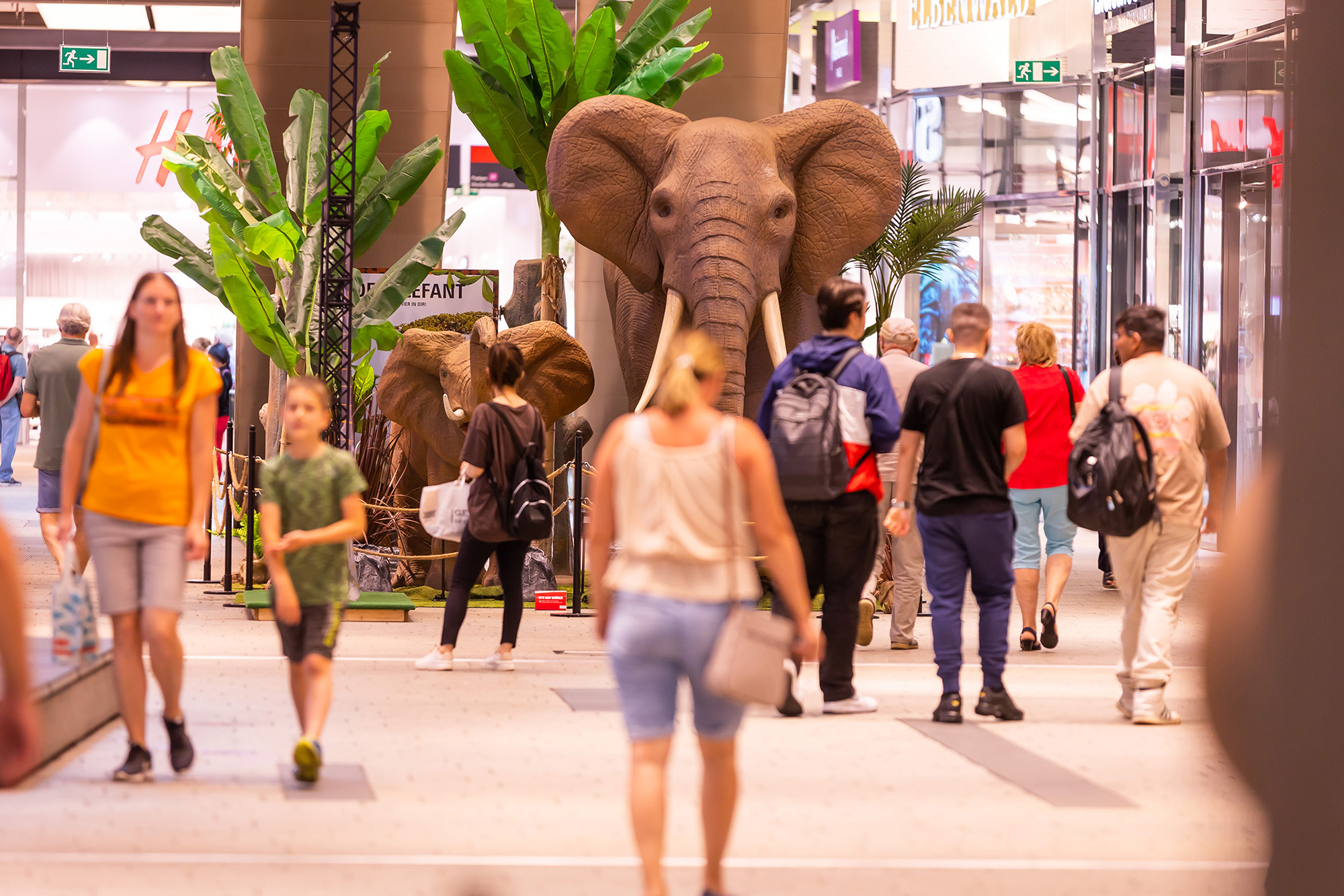 Die &quot;Big 5&quot;-Austellung im Murpark