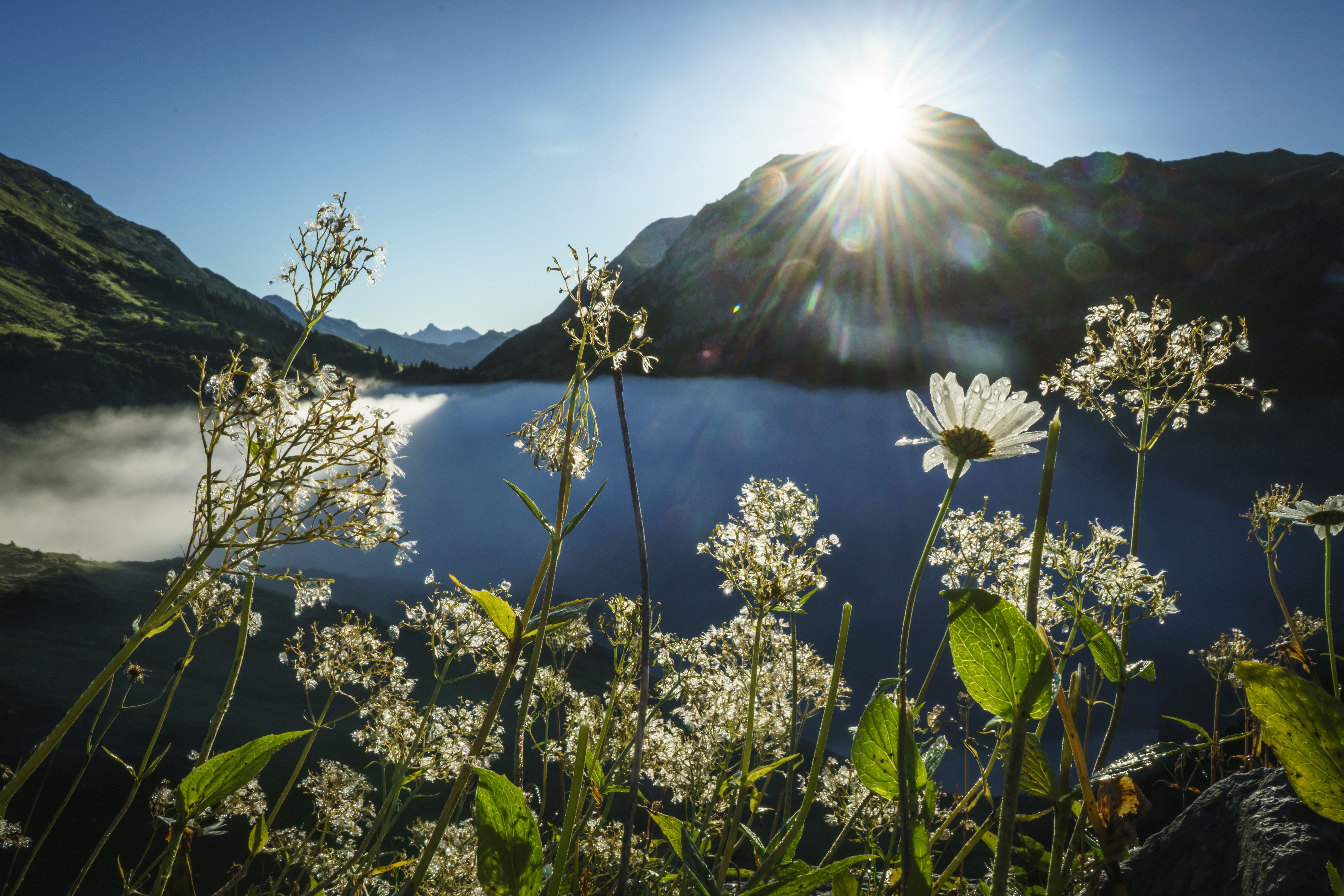 idyllischer Formarinsee in Vorarlberg im Morgenlicht