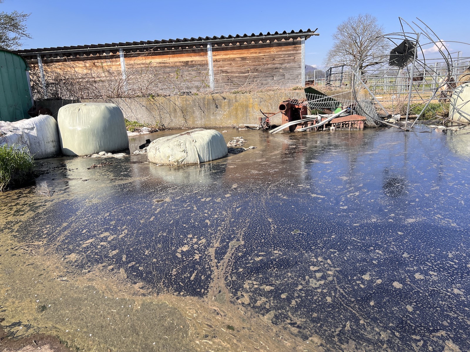 Ein dreckiger Gülle-See vor dem Stall.