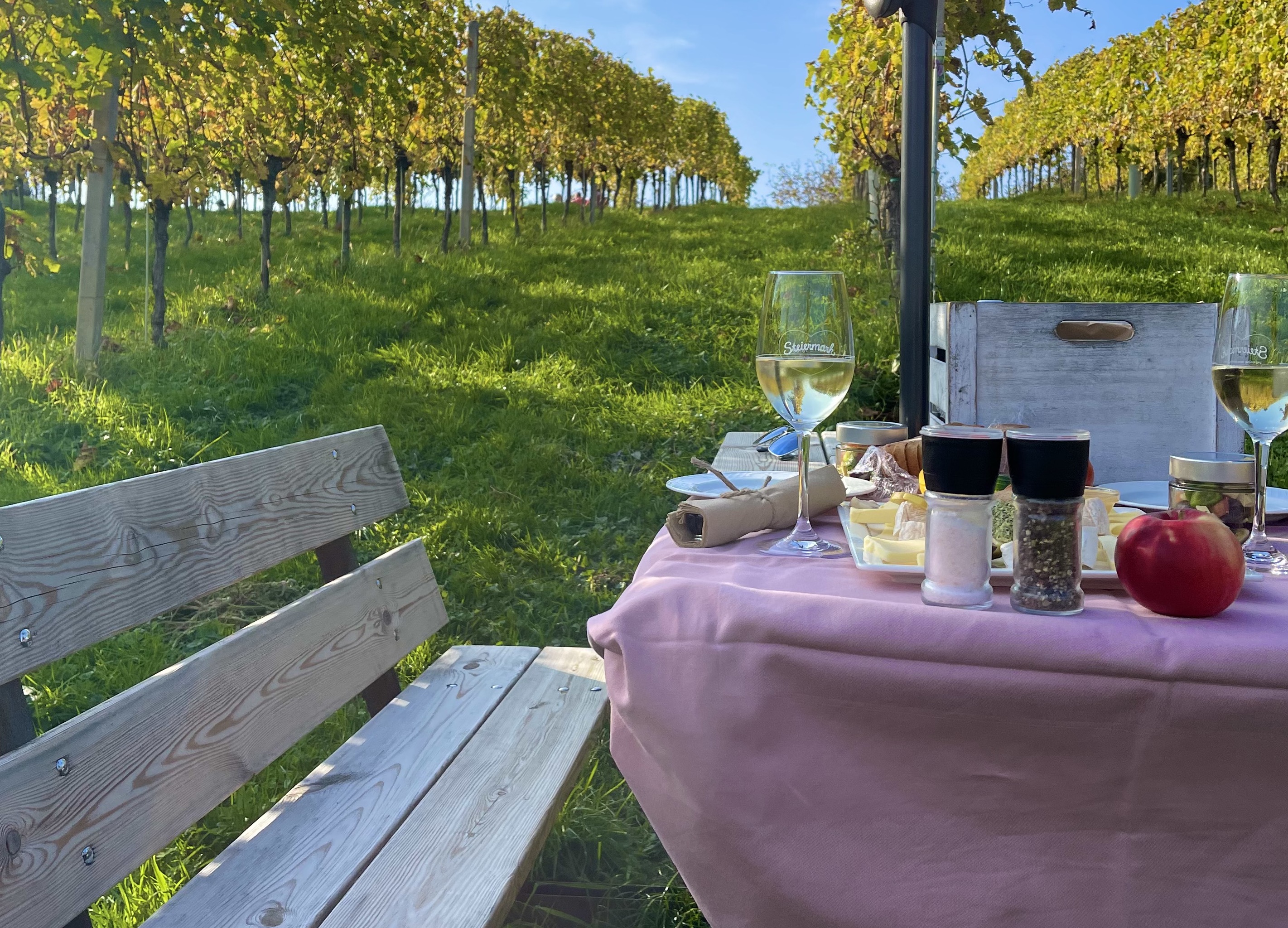 Picknick im Weingarten