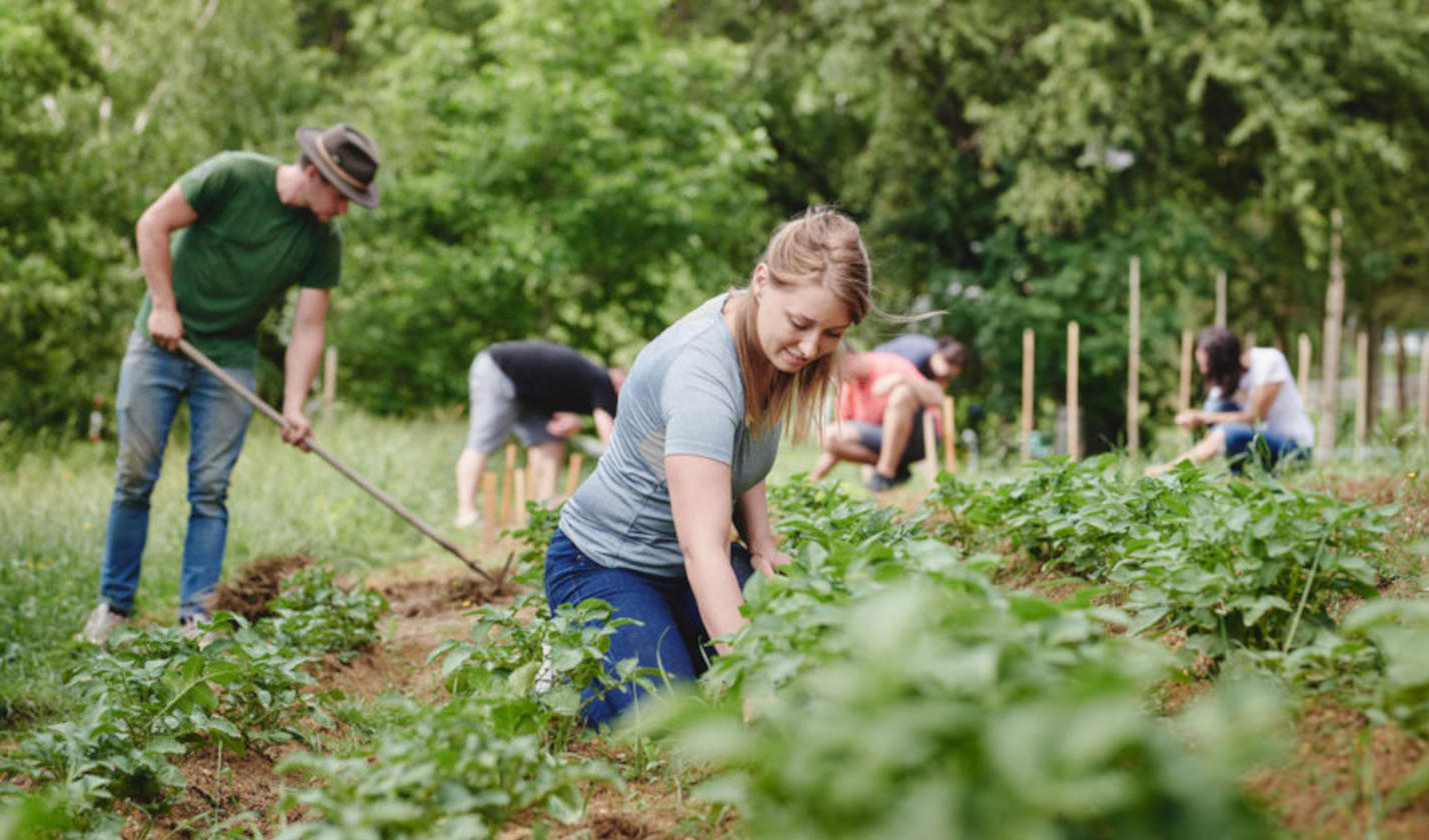 Themenweg Ellerswald