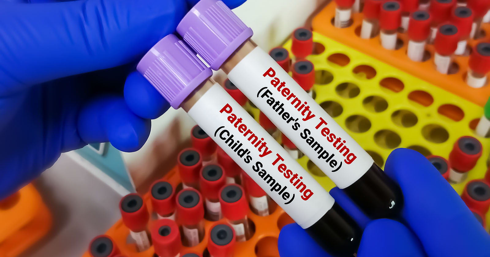 Zwei Teströhren für einen Vaterschaftstest im Labor