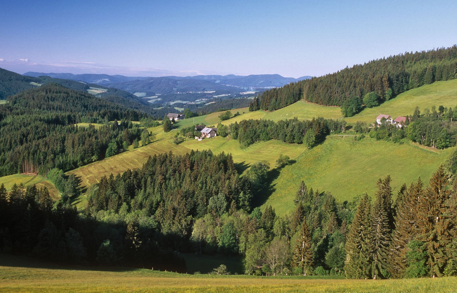 Die Wälder des Jogllands | Credit: Robert Kalb / picturedesk.com