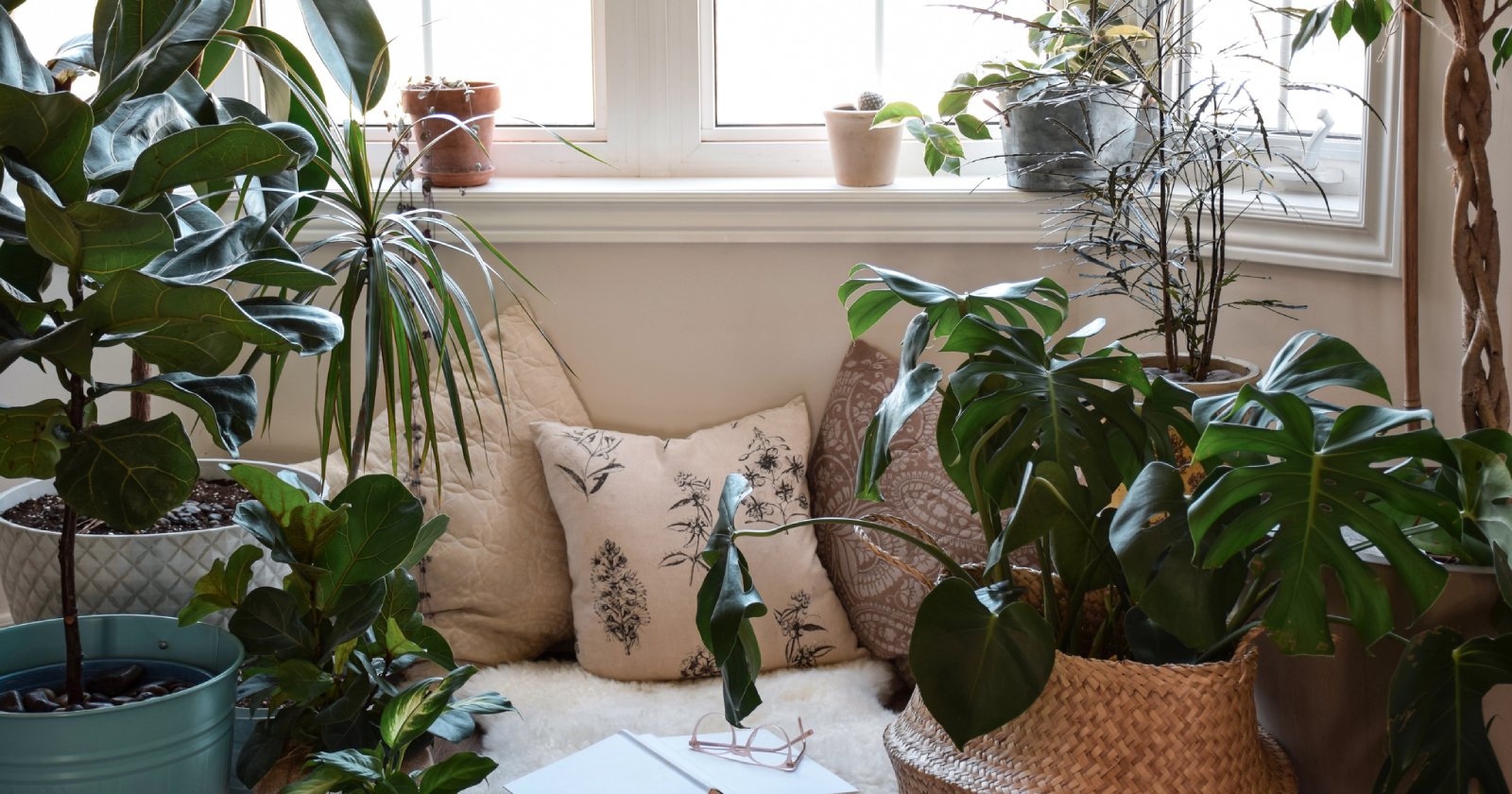 Kuschelecke unter einem Fenster mit Pflanzen | Credit: iStock.com/JulieAlexK