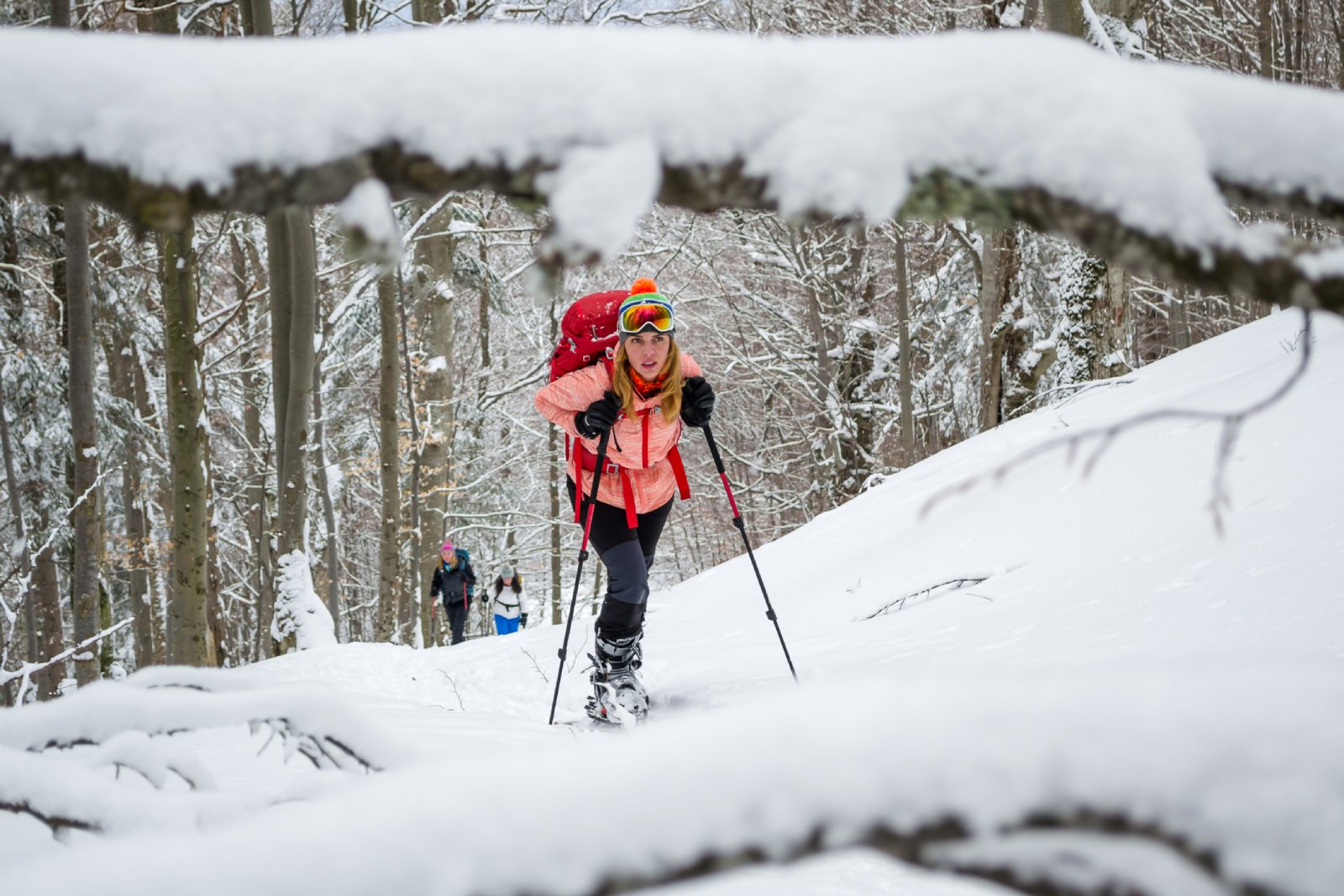 Frau begeht eine Skitour | Credit: iStock.com/k5hu