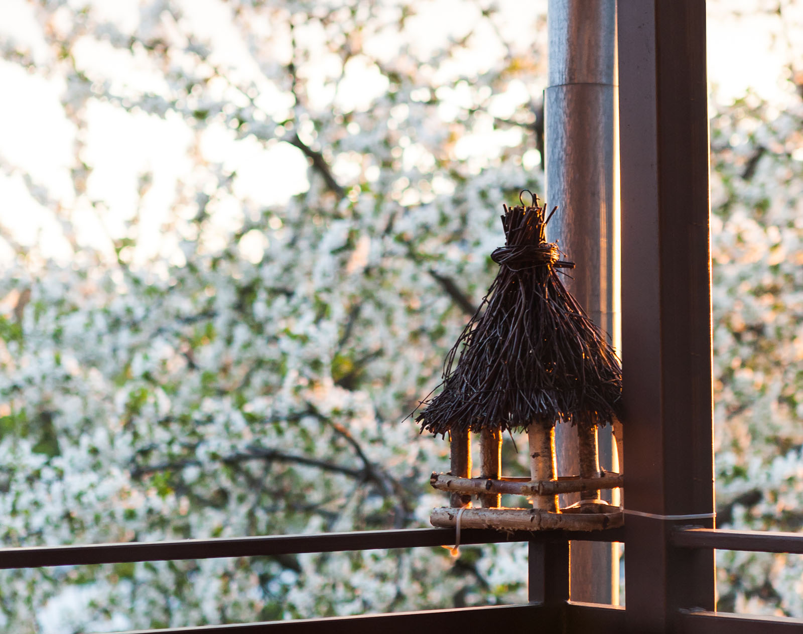 Vogelhaus steht am Balkon | Credit: iStock.com/hraska