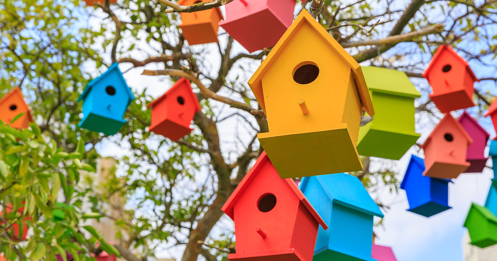 Bunte Vogelhäuser hängen in einem Baum | Credit: iStock.com/Vladimir1965