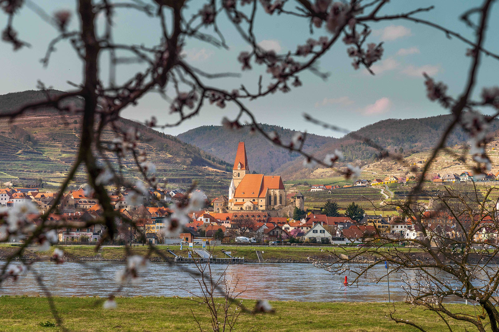 Panoramablick über die Wachau | Credit: Josef Bollwein / SEPA.Media / picturedesk.com