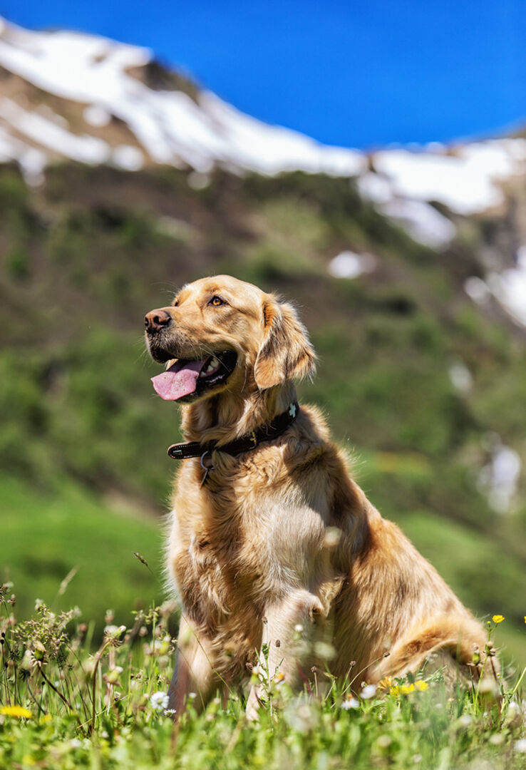 Natur.Genuss.Hotel Sonnasita