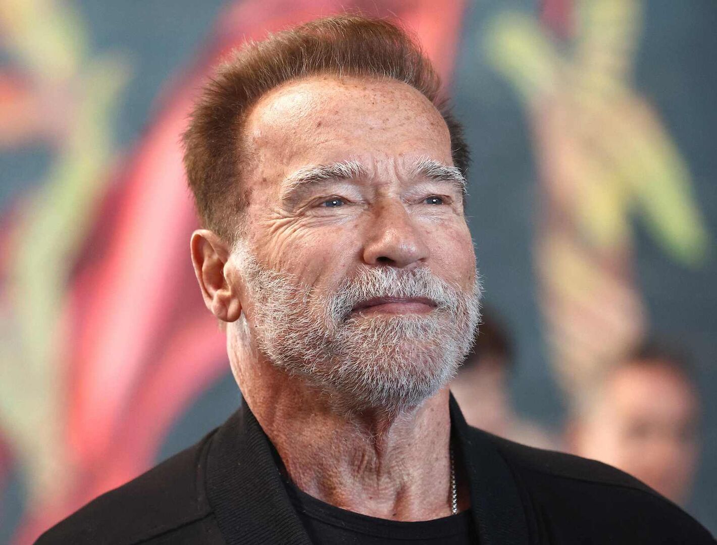 Arnold Schwarzenegger mit grauem Bart.