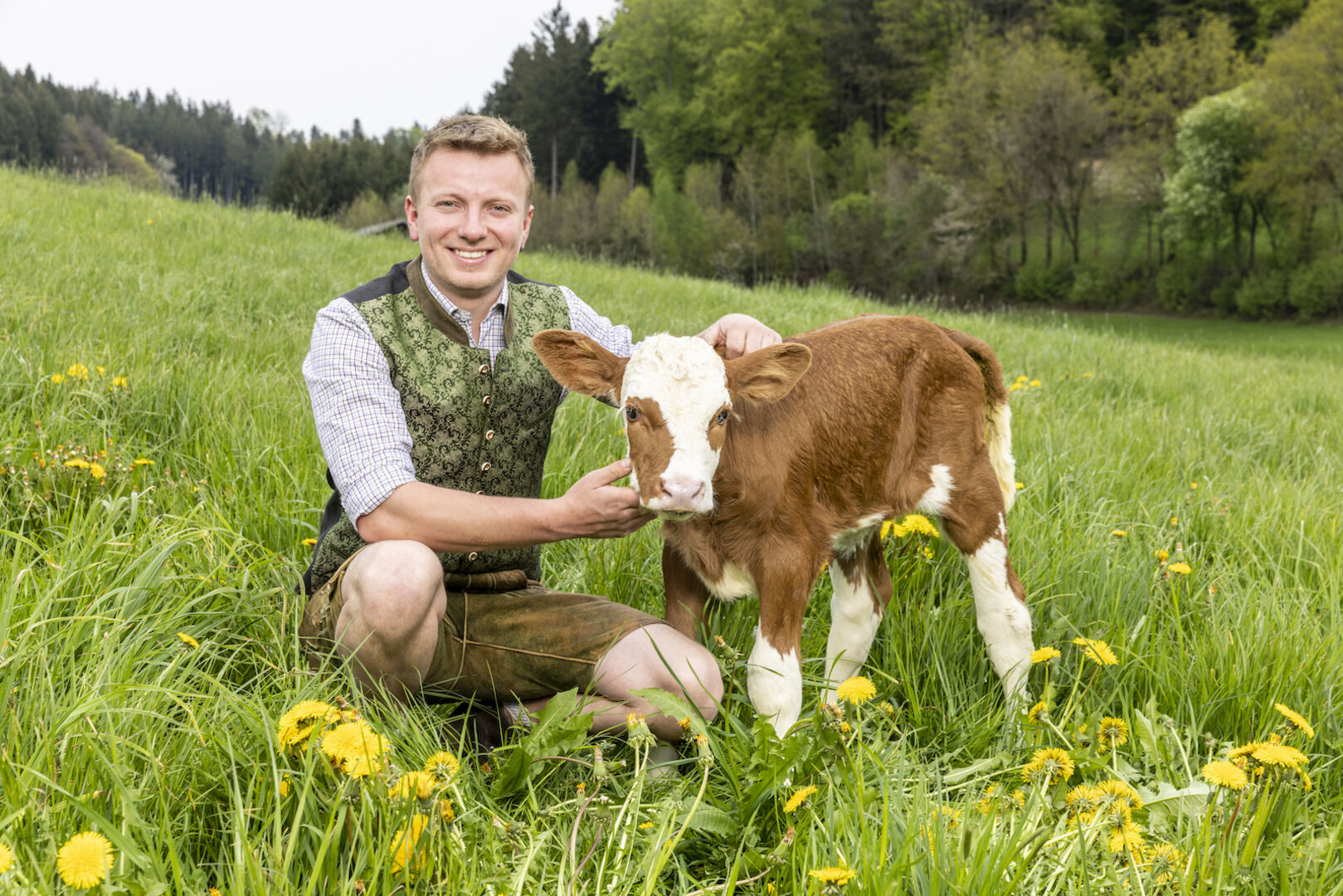 Johannes mit einem Kalb auf der Weide.