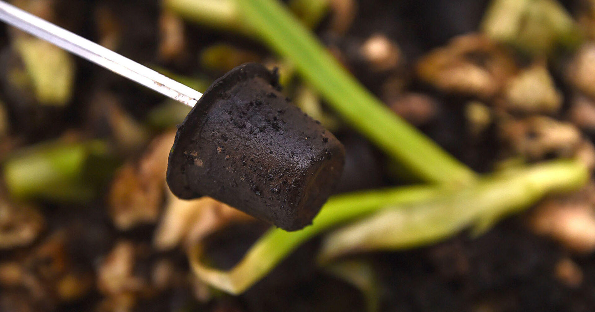 Kaffeekapsel aus Papier, die auf einem Komposthaufen lag