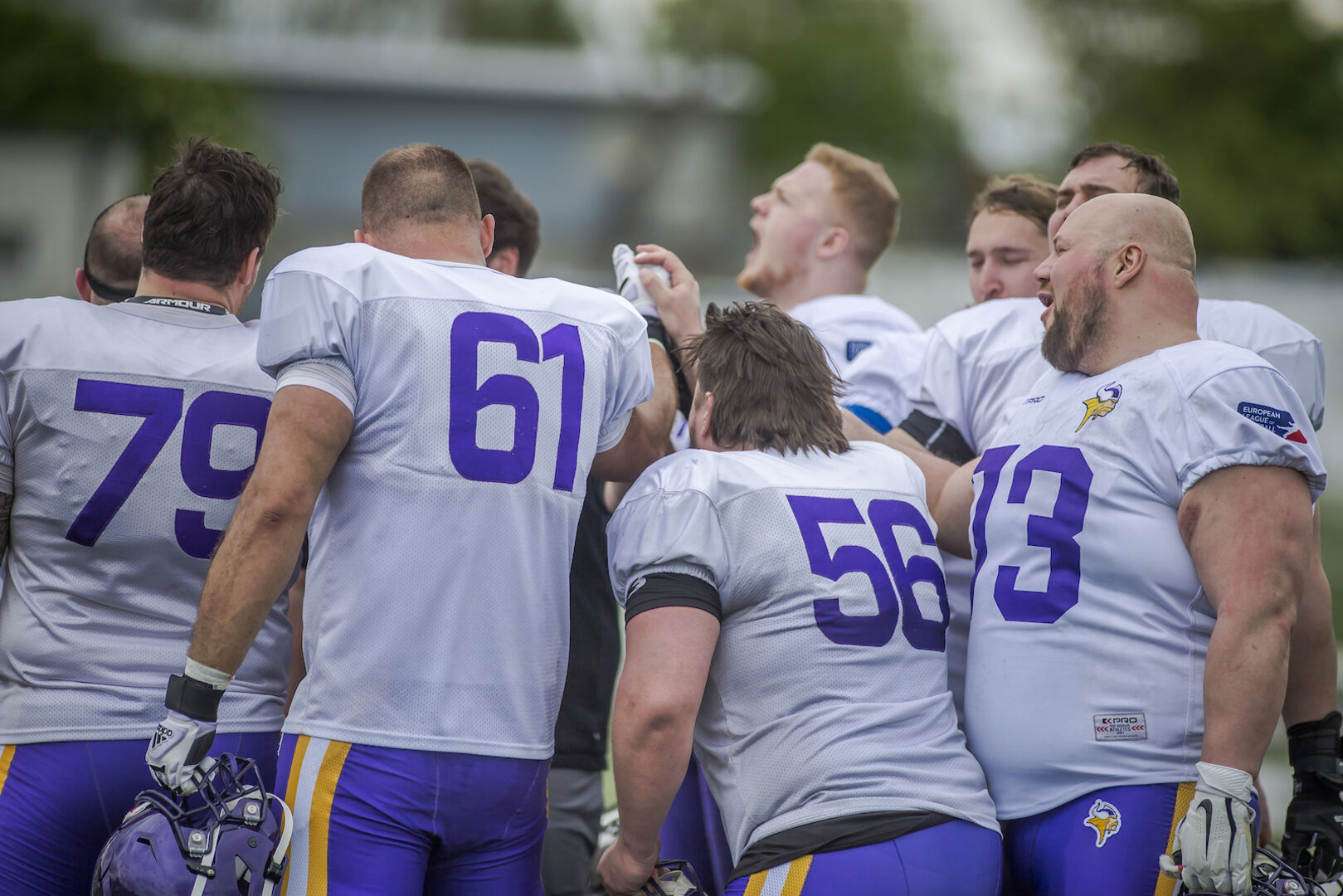 Vienna Vikings