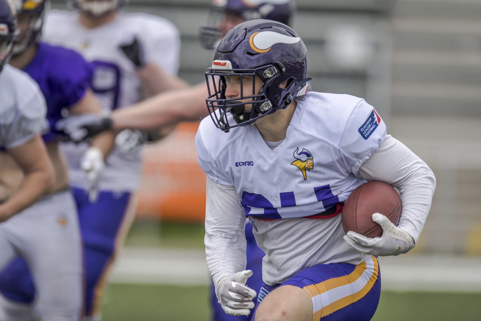 Vienna Vikings