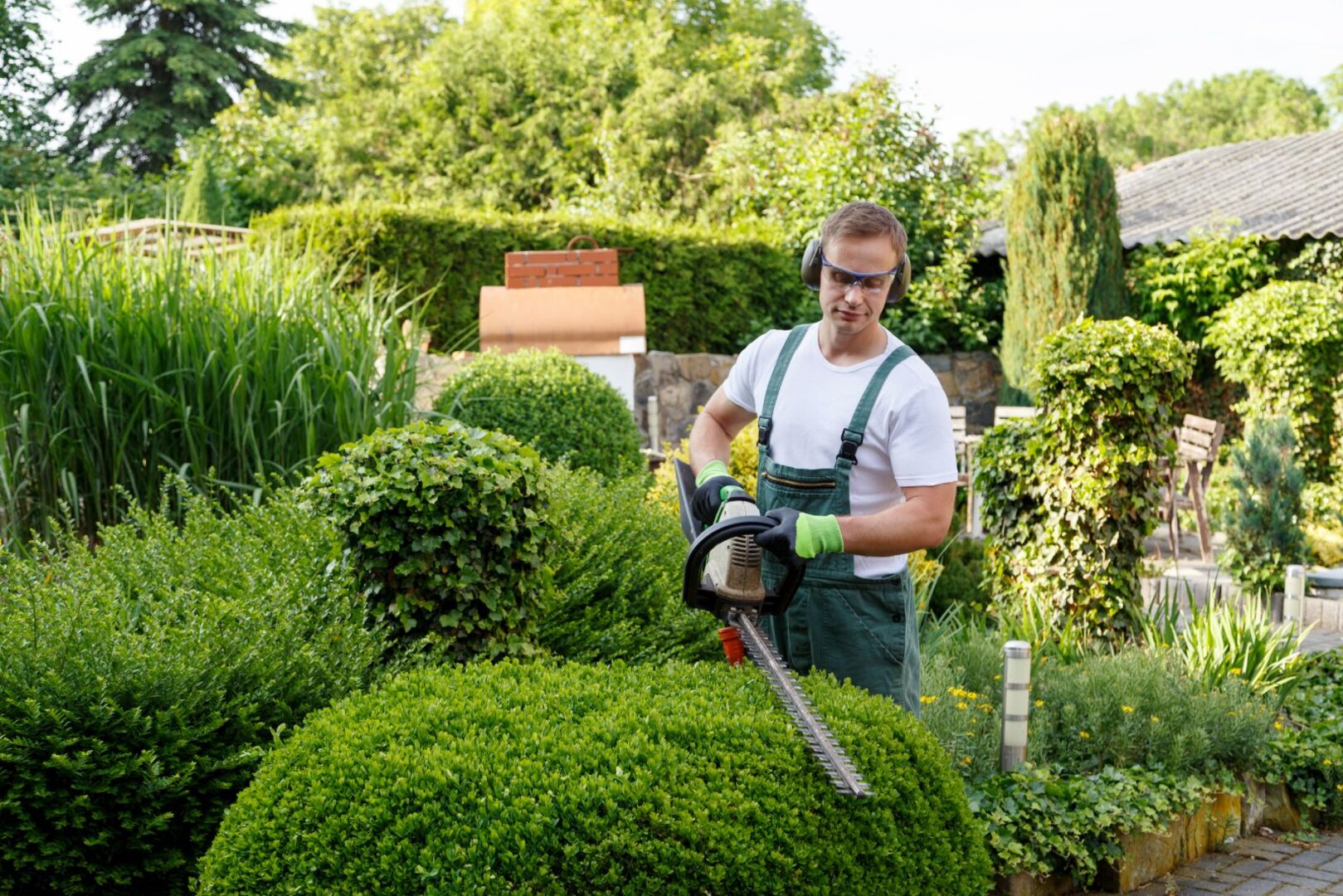 Mann trimmt eine Hecke | Credit: iStock.com/juefraphoto