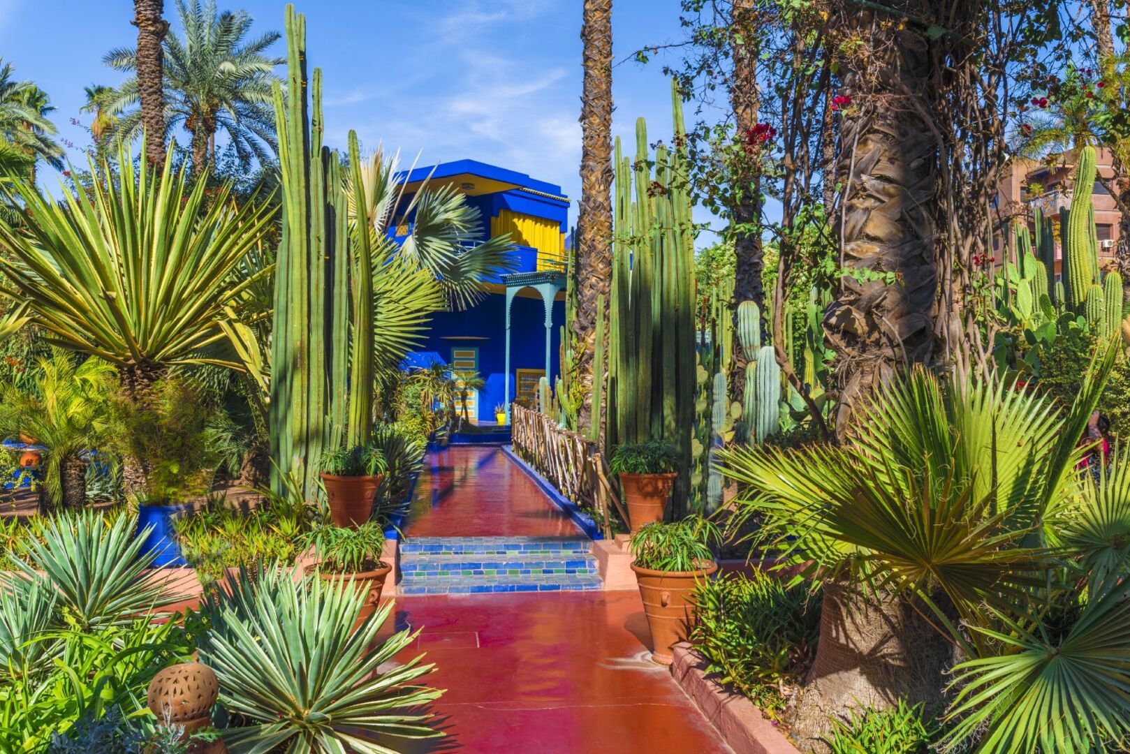 Der Garten Jardin Majorelle | Credit: iStock.com/Balate Dorin