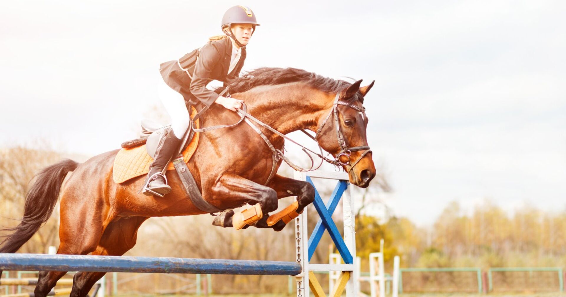 Frau springt mit Pferd über ein Hindernis | Credit: iStock.com/sergio_kumer