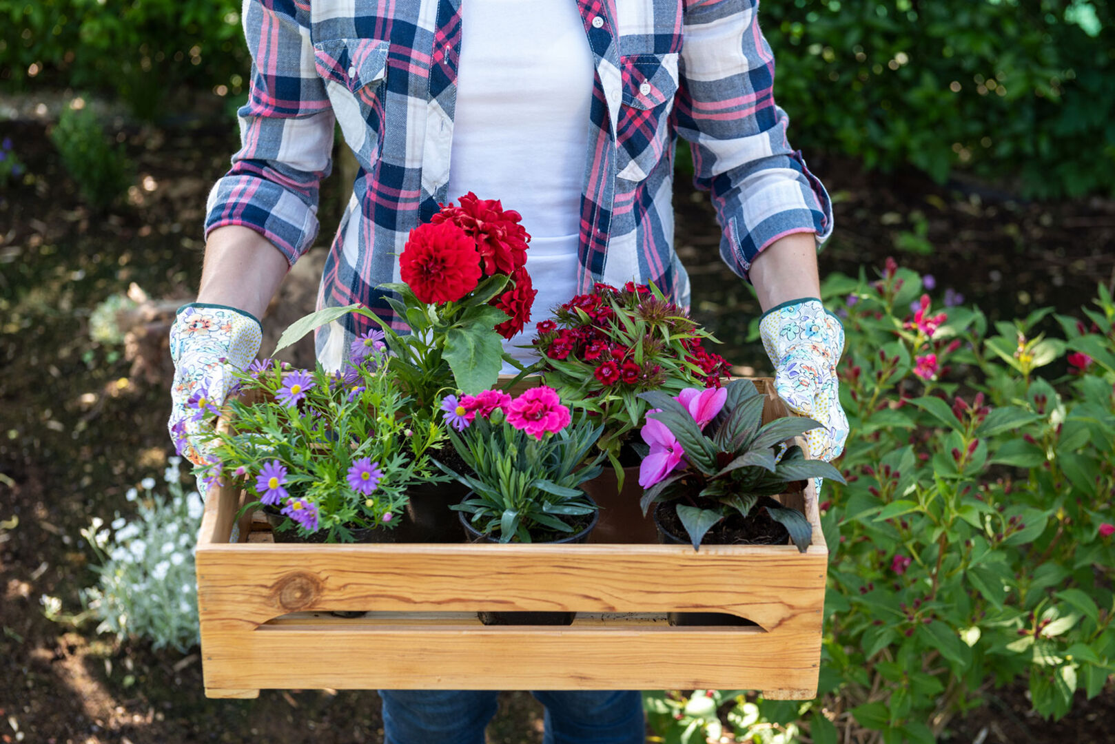 Junge Frau mit Blumenkisterl in der Hand | Credit: iStock.com/AndreaObzerova