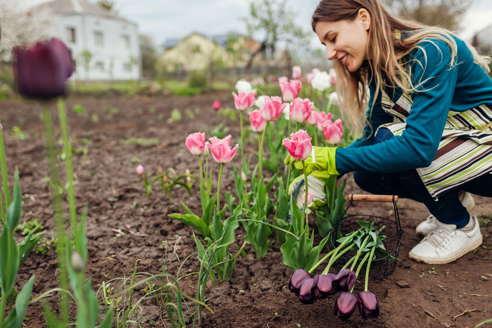 Junge Frau beim Pflanzen von Blumen in ihrem Beet | Credit: iStock.com/Maryviolet