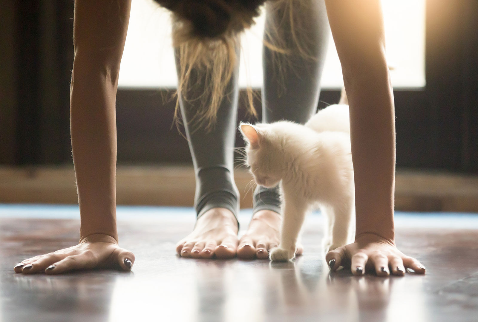 Junge Frau beim Yoga mit ihrer Katze | Credit: iStock.com/izkes