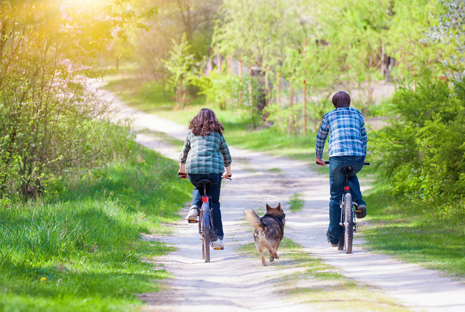 Fahrradfahren mit Hund | Credit: iStock.com/vvvita