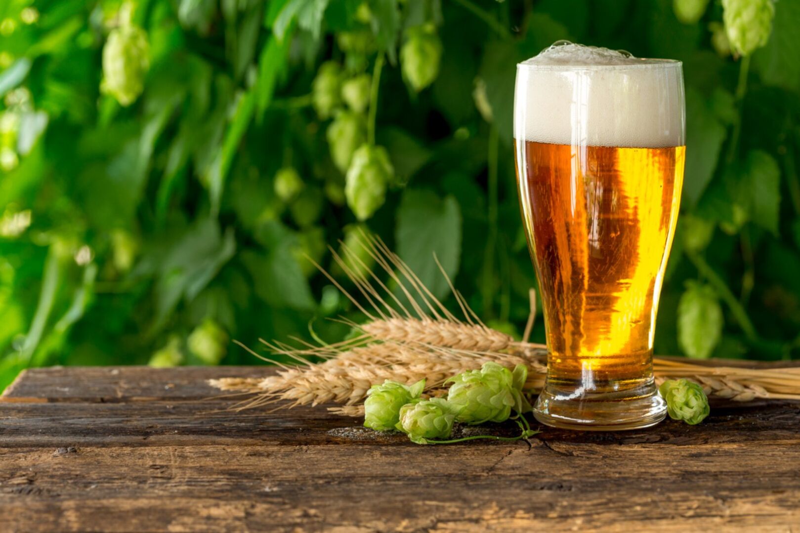 Ein Glas Bier steht auf einem Holztisch | Credit: iStock.com/stsmhn