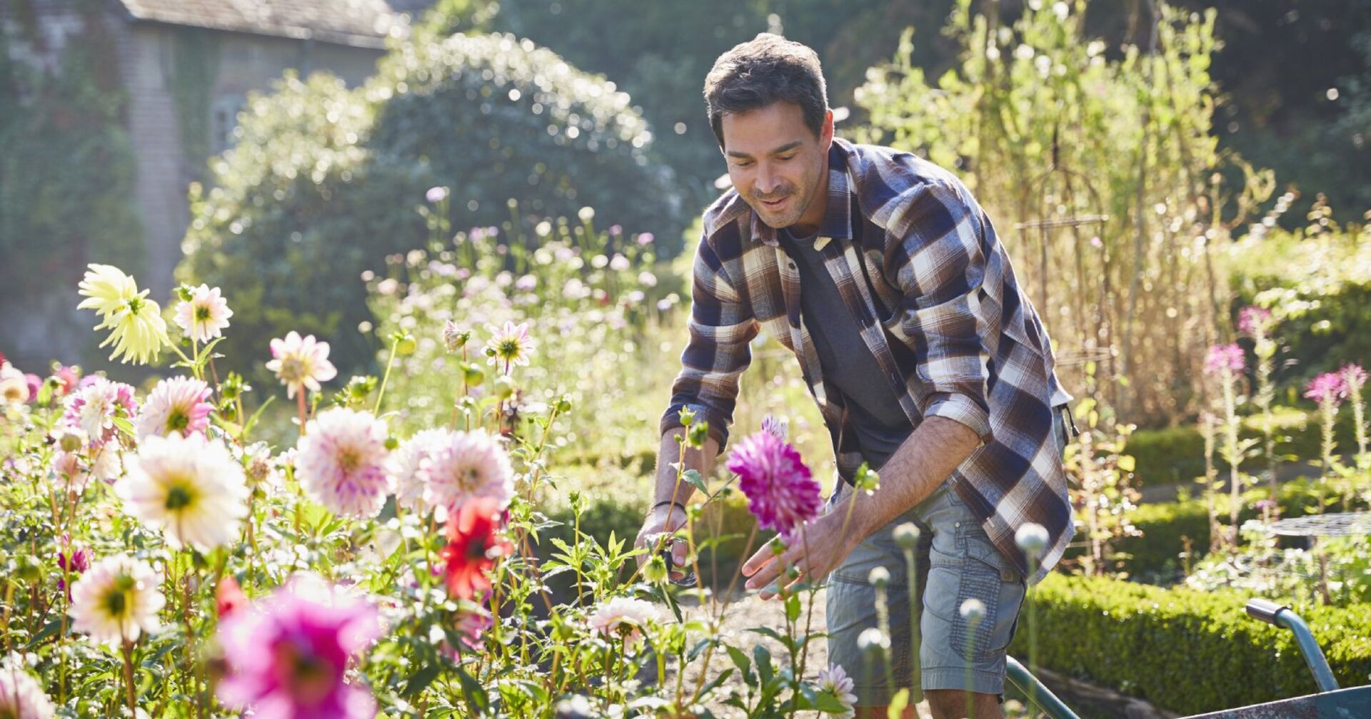 Mann bei der Gartenarbeit | Credit: iStock.com/Caiaimage/Chris Ryan