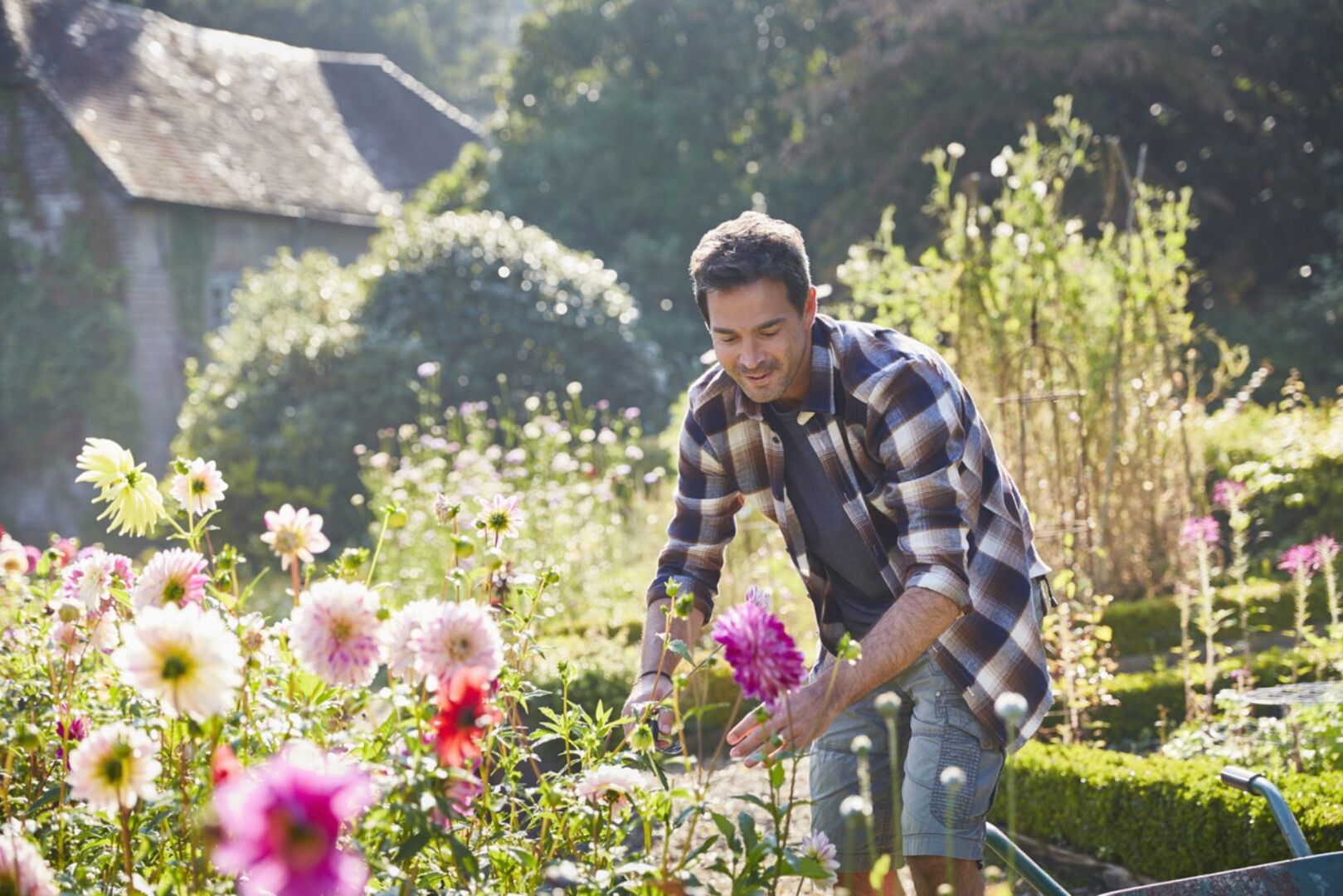 Mann arbeitet im Garten | Credit: iStock.com/Caiaimage/Chris Ryan