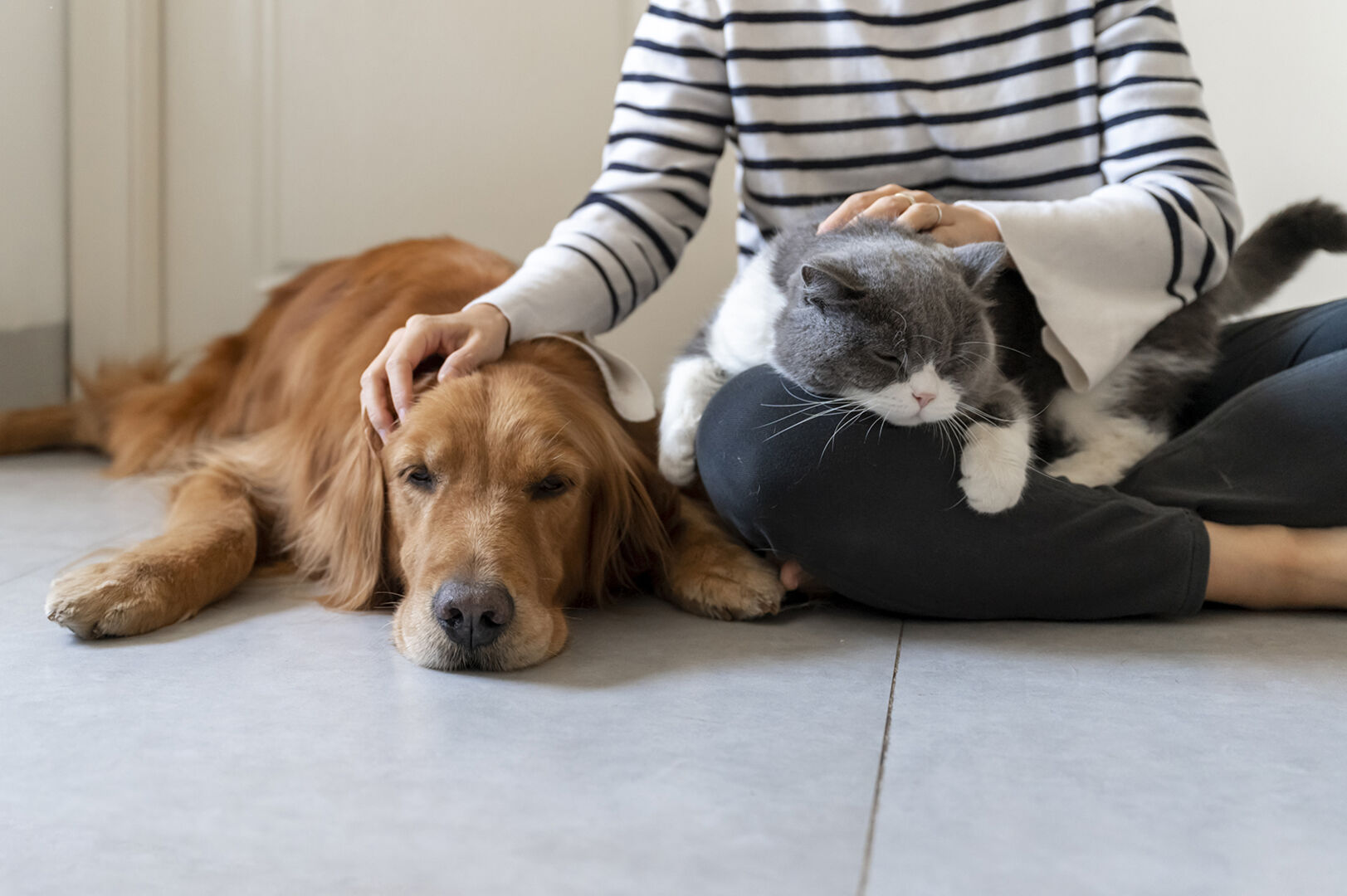 Frau streichelt Haustiere | Credit: iStock.com/chendongshan