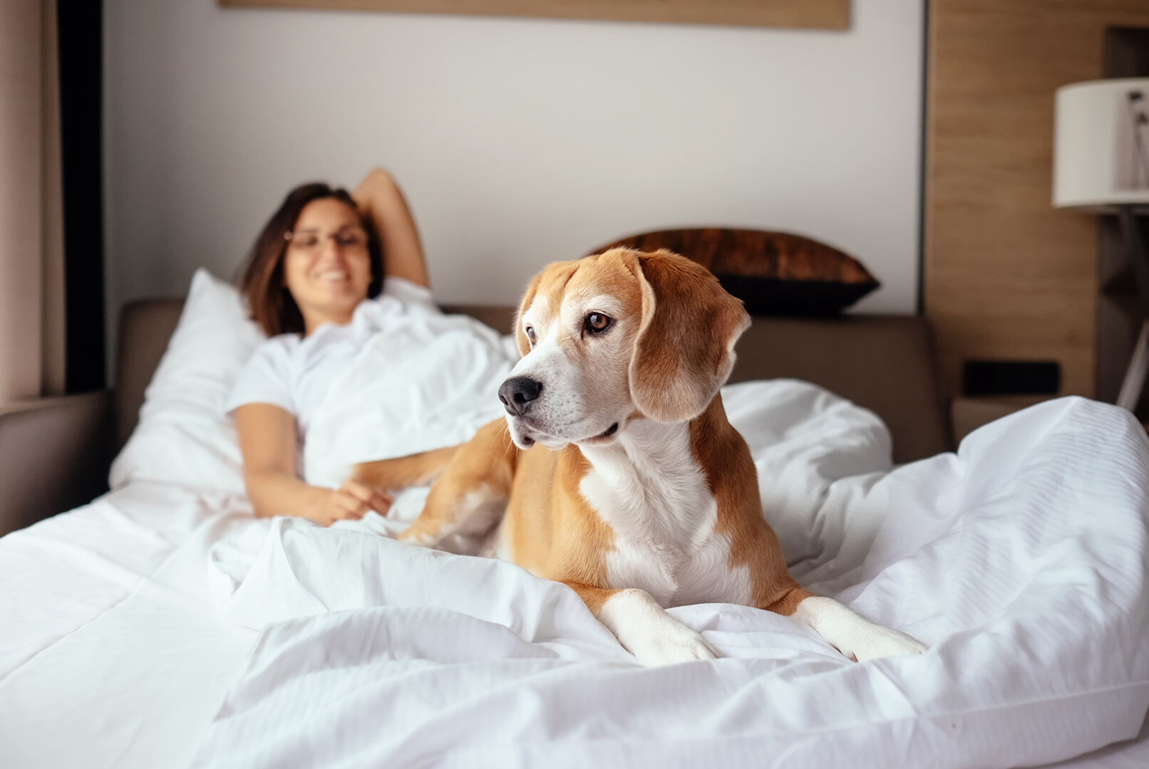 Hund mit Frauli im Hotelzimmer | Credit: iStock.com/Solovyova