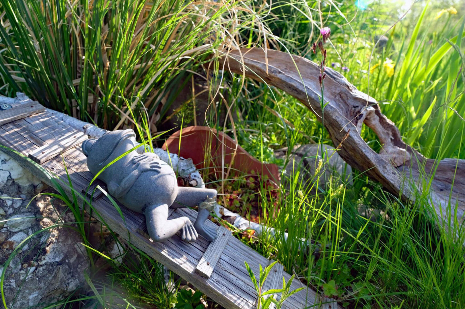 Deko-Frosch aus Stein in der Wiese | Credit: TVB Eugendorf