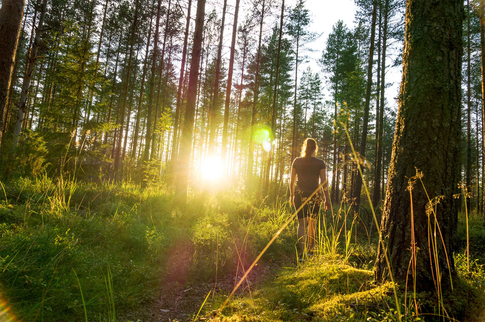 Junge Frau streift durch den Wald bei Sonnenuntergang | Credit: iStock.com/Tero Vesalainen