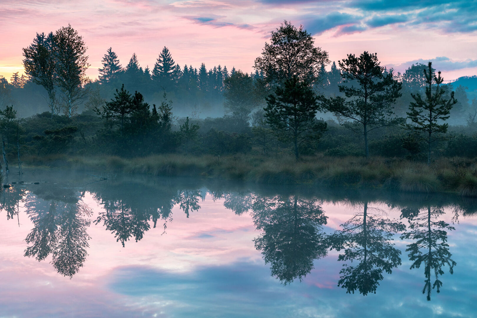 Das Wenger Moor in der Morgendämmerung | Credit: iStock.com/Nemo1963