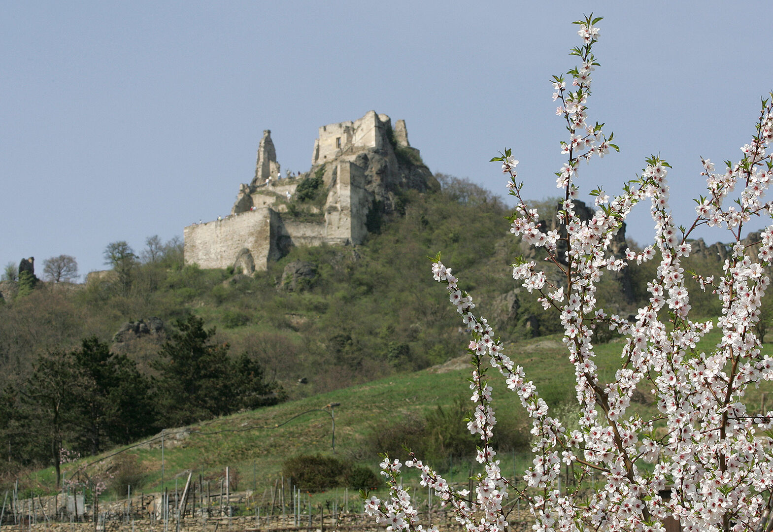 Burgruine Dürnstein | Credit: Ernst Weingartner / Weingartner-Foto / picturedesk.com