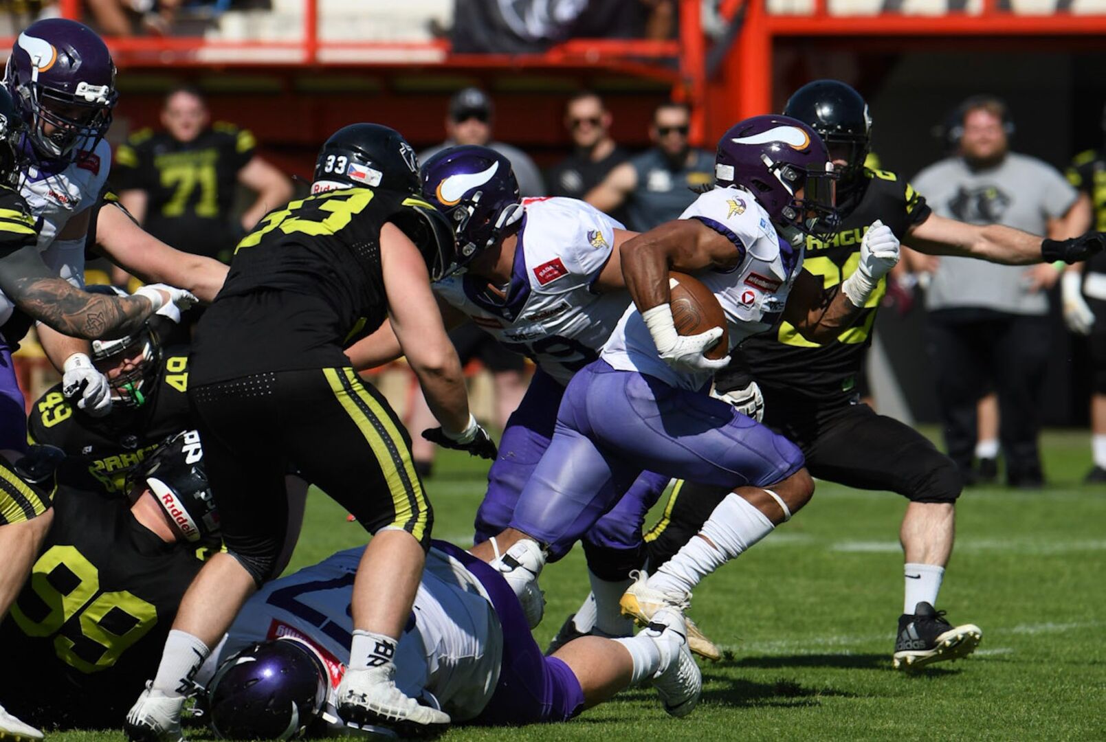 Vienna Vikings