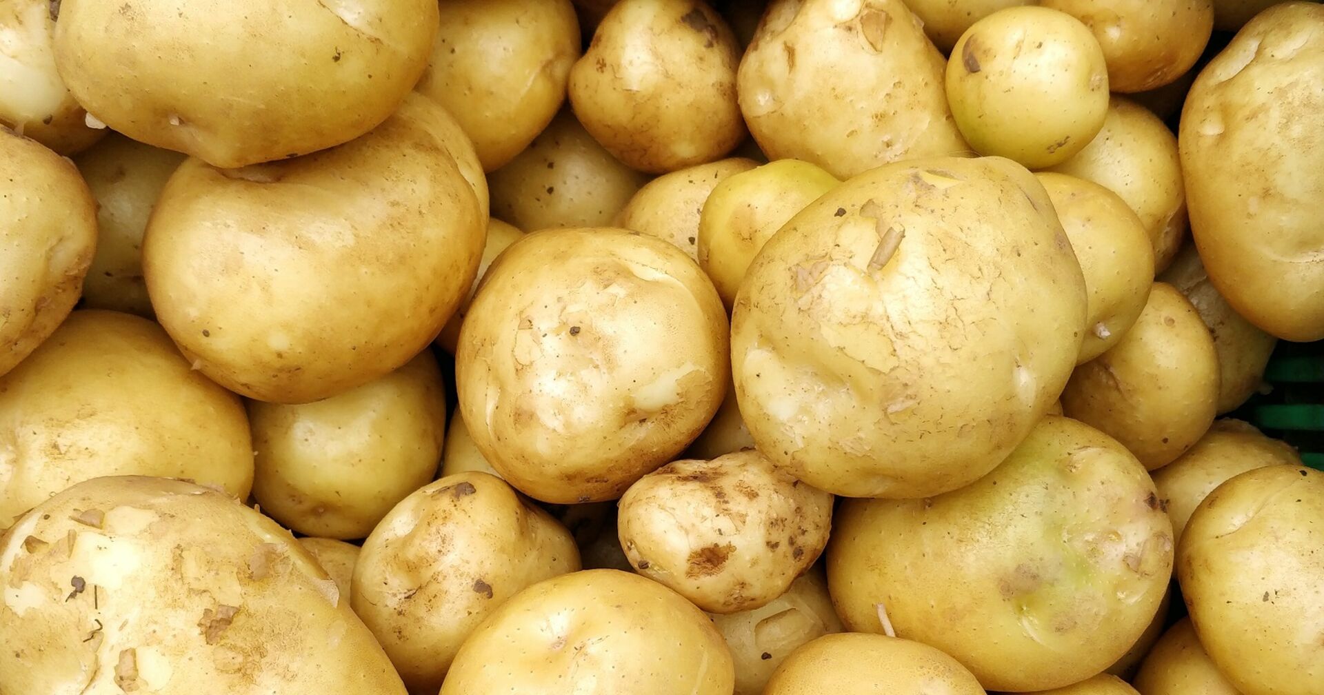 Viele Kartolffel in Großaufnahme