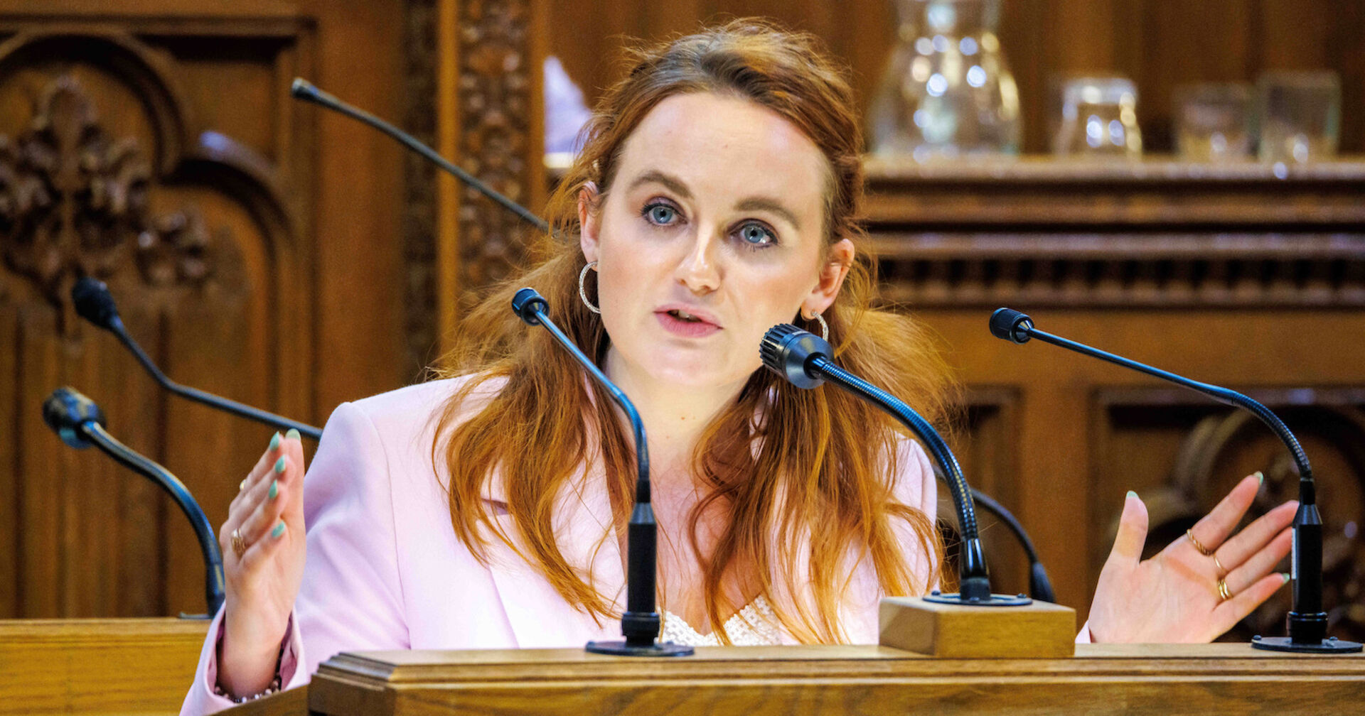 Sachslehenr spricht im Wiener Gemeinderat