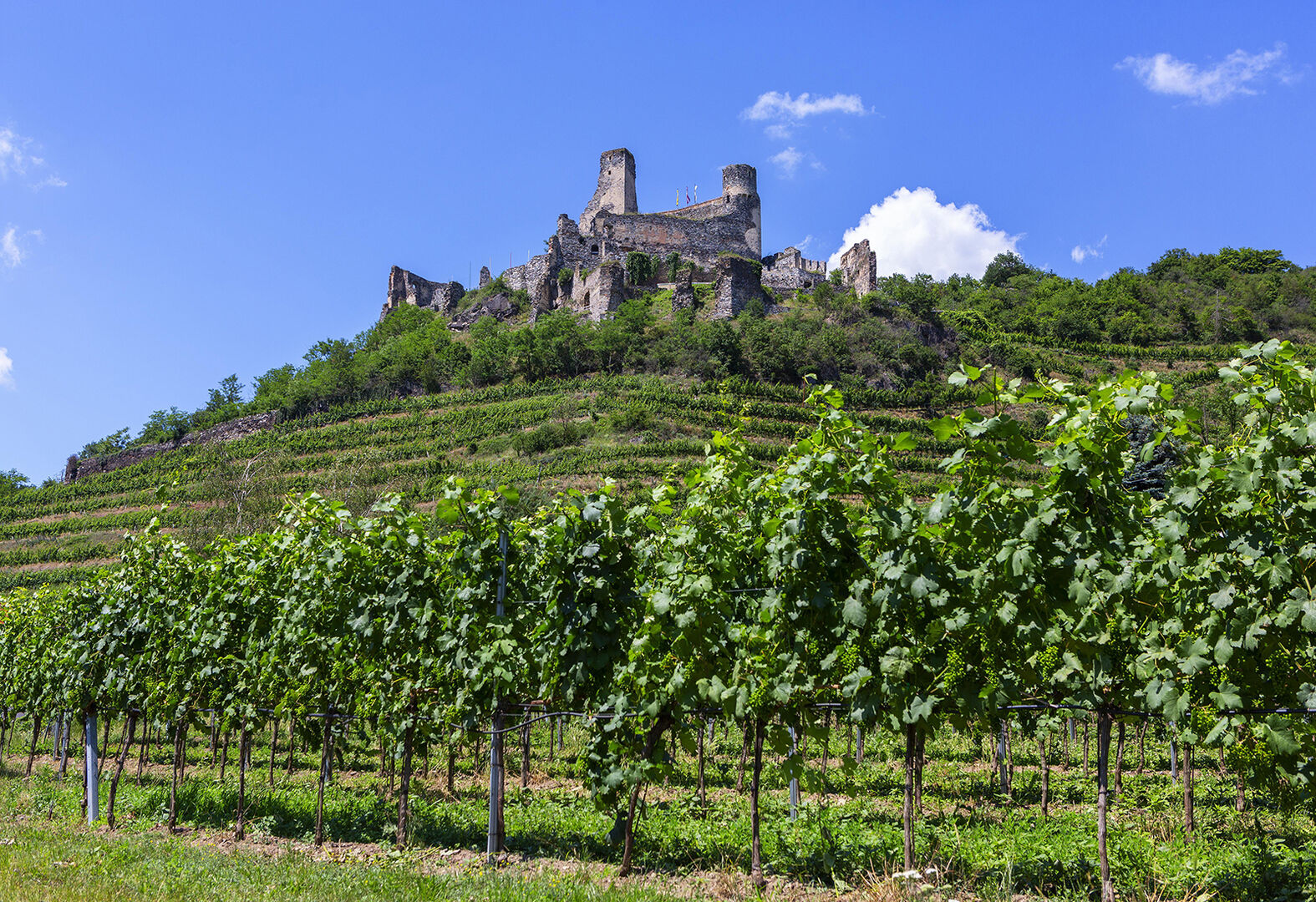 Burgruine Senftenberg | Credit: Wolfgang Weinhäupl / imageBROKER / picturedesk.com