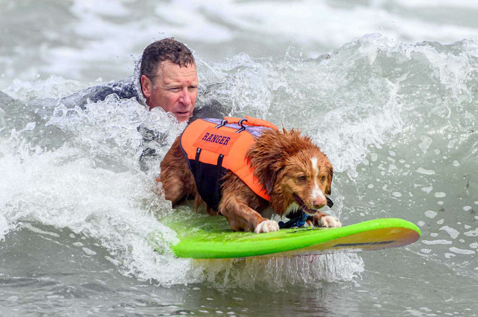 Besitzer und Hund surfen gemeinsam.