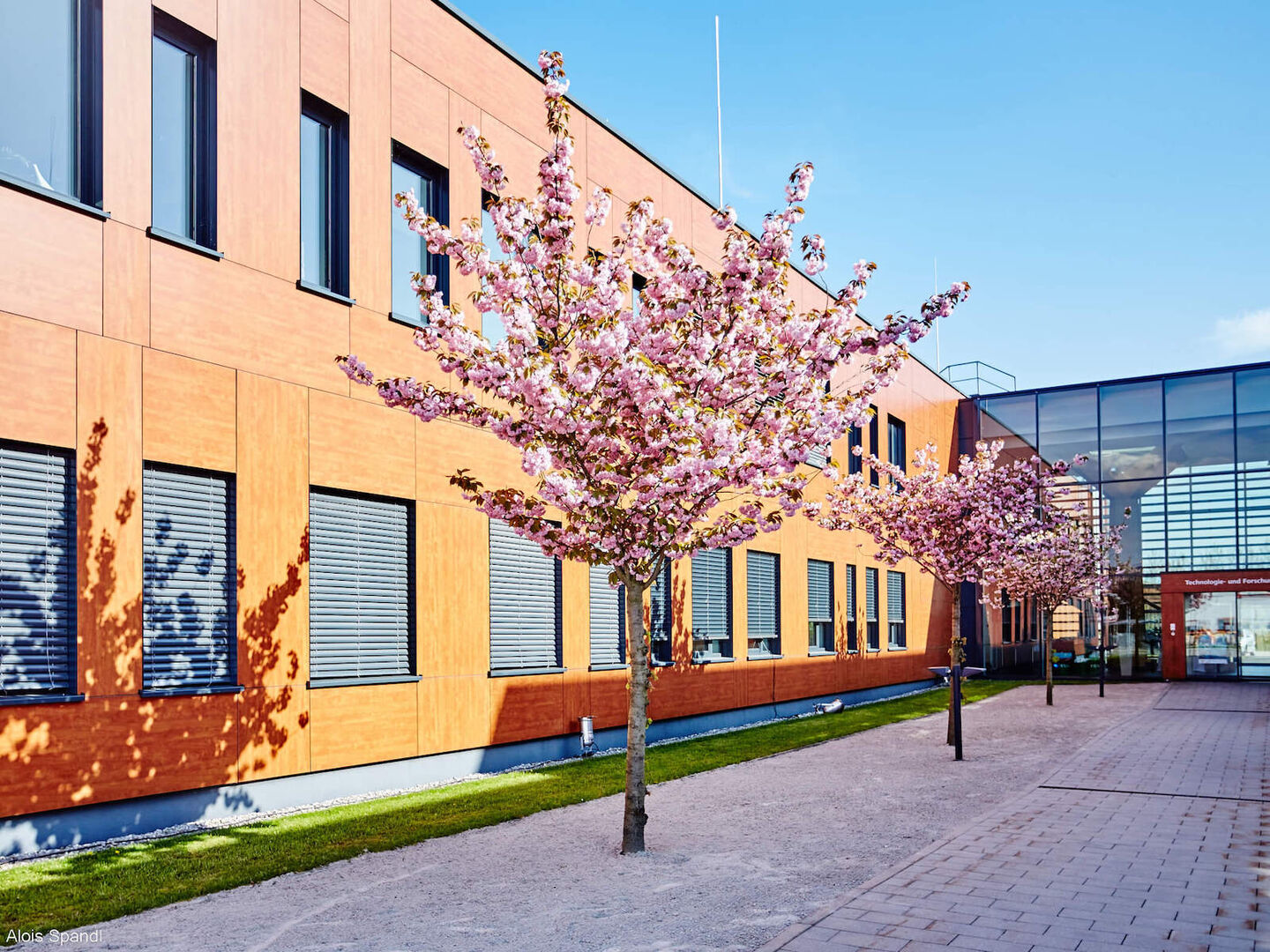 ecoplus Wieselburg-Land