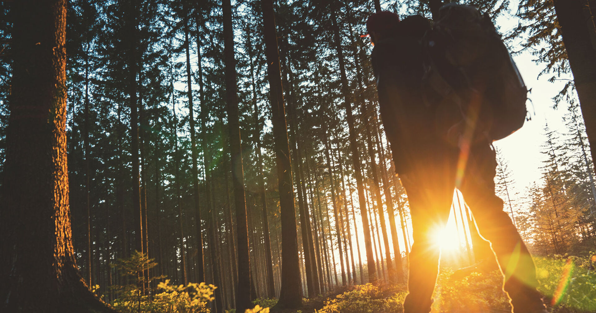 Mann bei herbstlicher Wanderung durch den Wald | Credit: iStock.com/audioundwerbung
