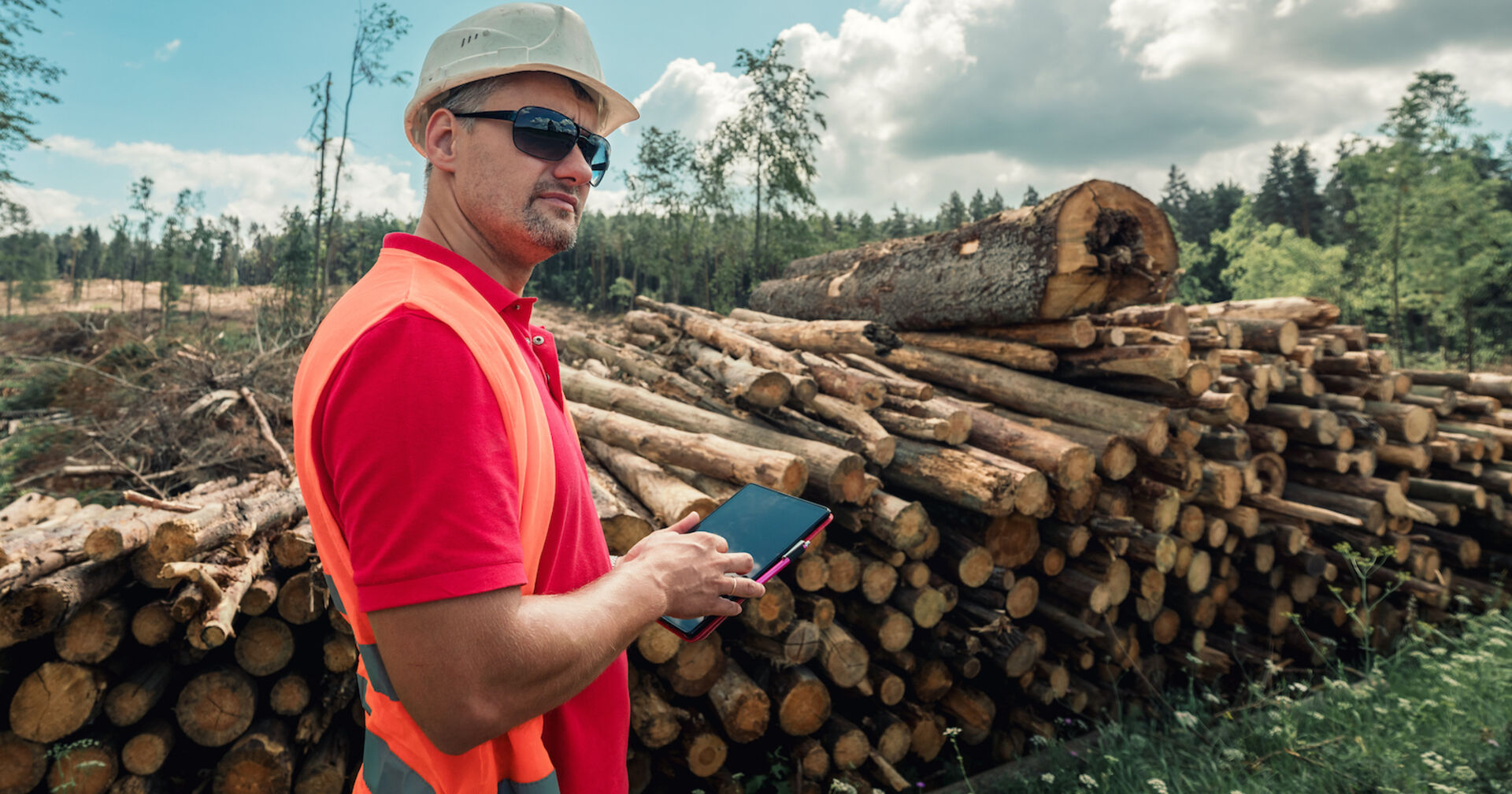 Förster in Arbeitskleidung und mit Tablet in den Händen vor einem Stapel Holz