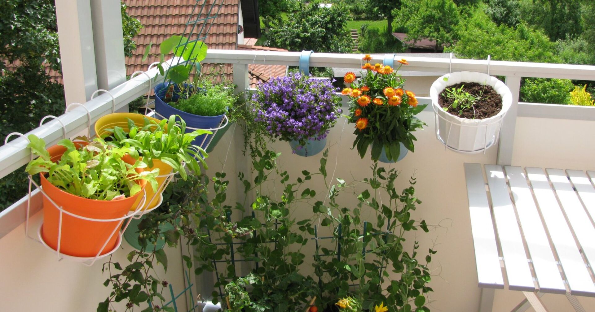 Bunter Garten auf einem Balkon | Credit: iStock.com/HeikeRau